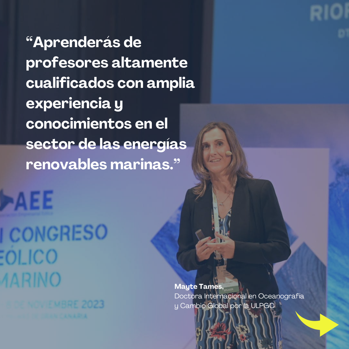 Nueva edición del Curso de Evaluación de Impacto Ambiental de Energías Renovables Marinas